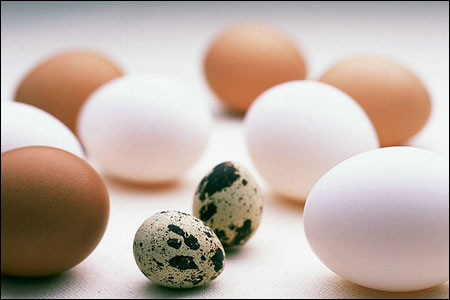 3 ไข่กินบ่อย กับประโยชน์ที่คุณต้องรู้ | Openrice ไทย